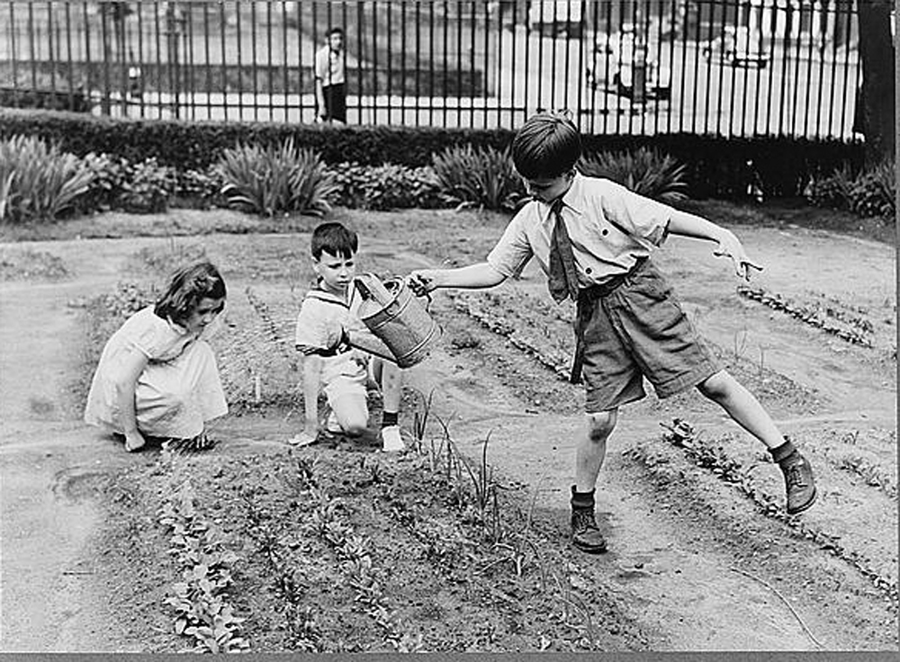 Image result for kids gardening 70's